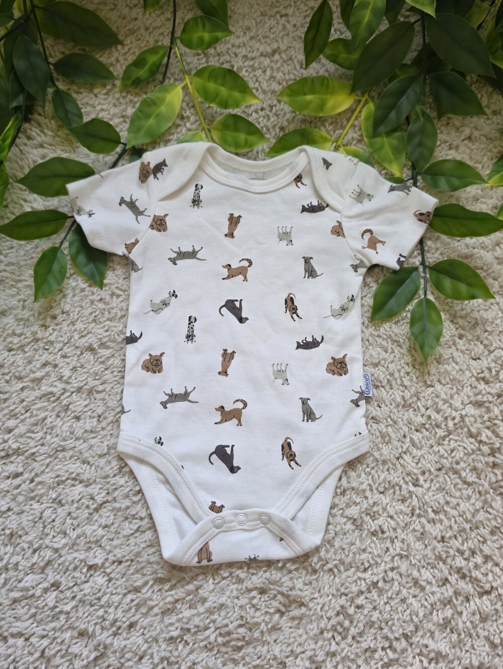 Baby Boy Puppy Onesie (3-6 Months)